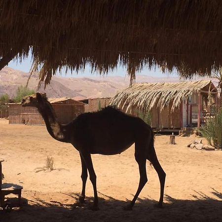 Diana Beach Camp Hotel Nuweiba` Exterior foto